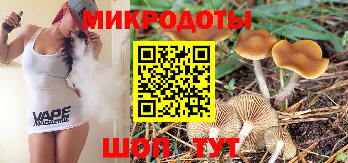 Псилоцибиновые грибы GOLDEN TEACHER  Вход с VPN  Тамбов 