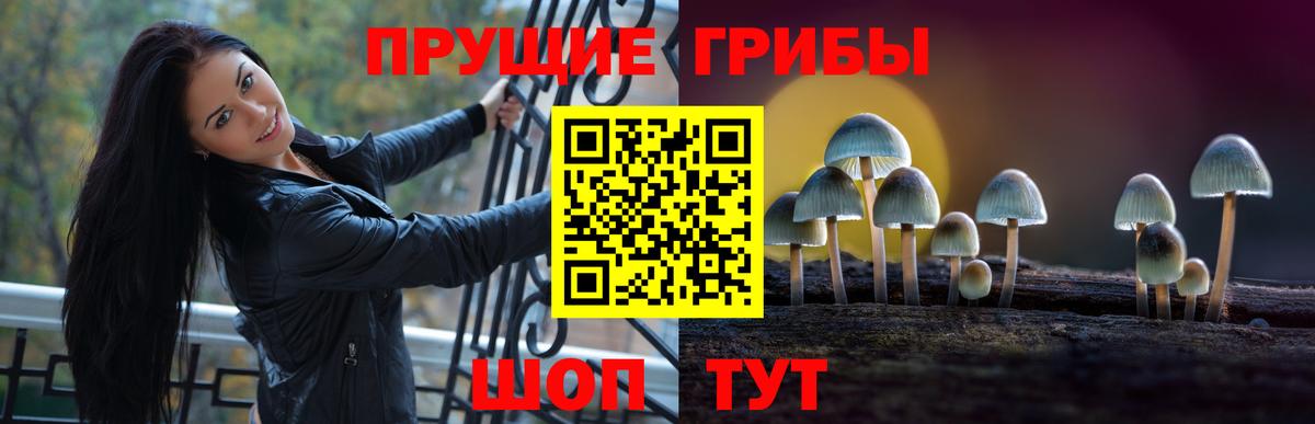 Псилоцибиновые грибы мицелий Тамбов